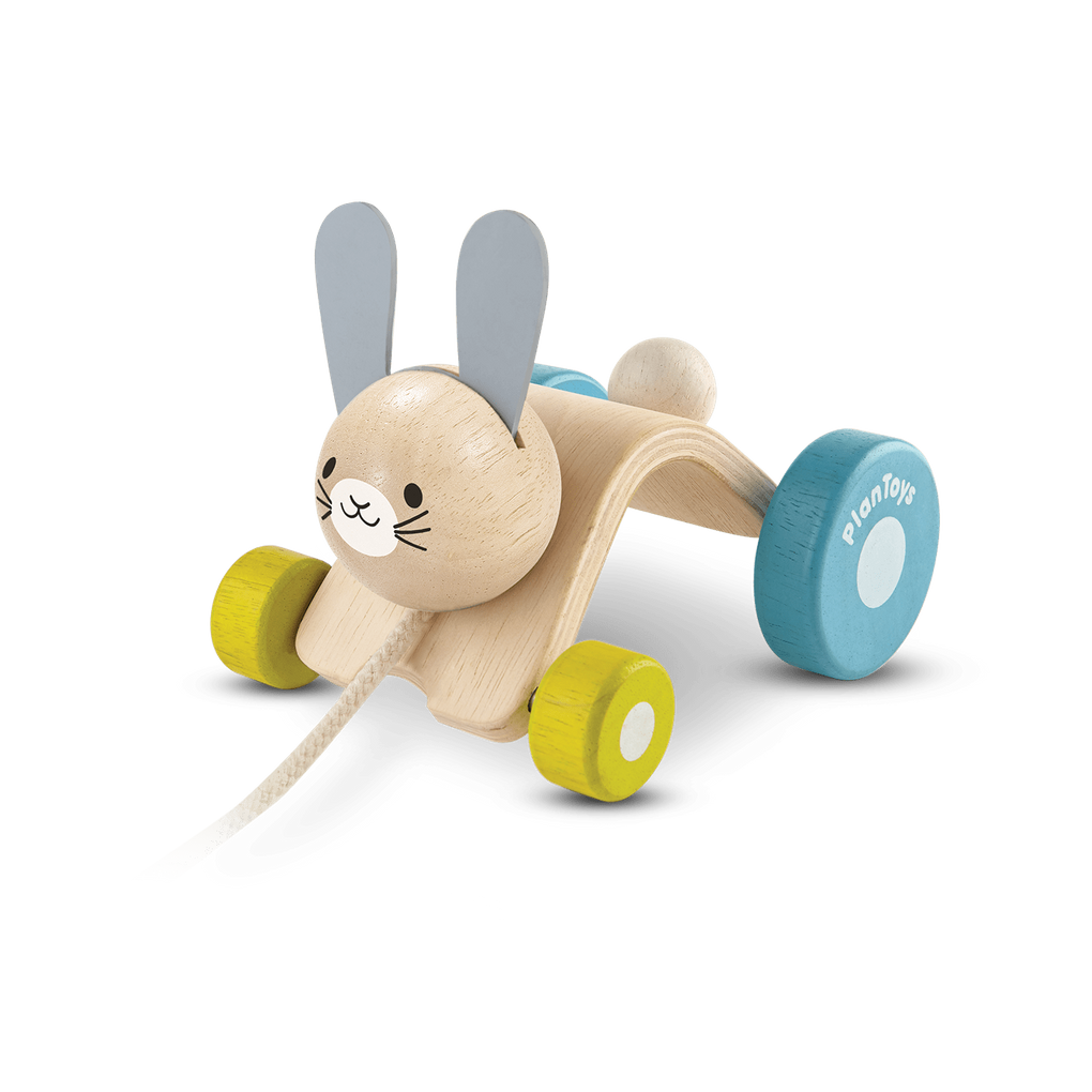 PlanToys Hopping Rabbit Push & Pull