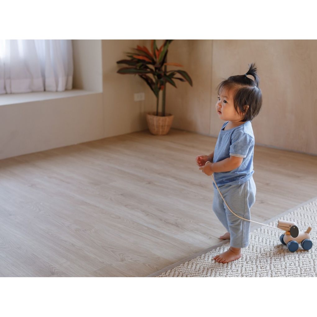 PlanToys Push & Pull Puppy