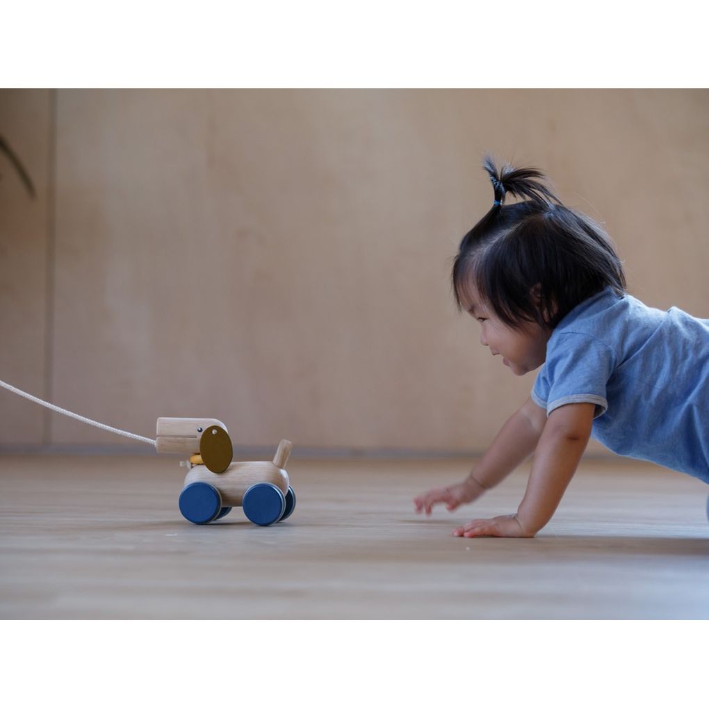 PlanToys Push & Pull Puppy