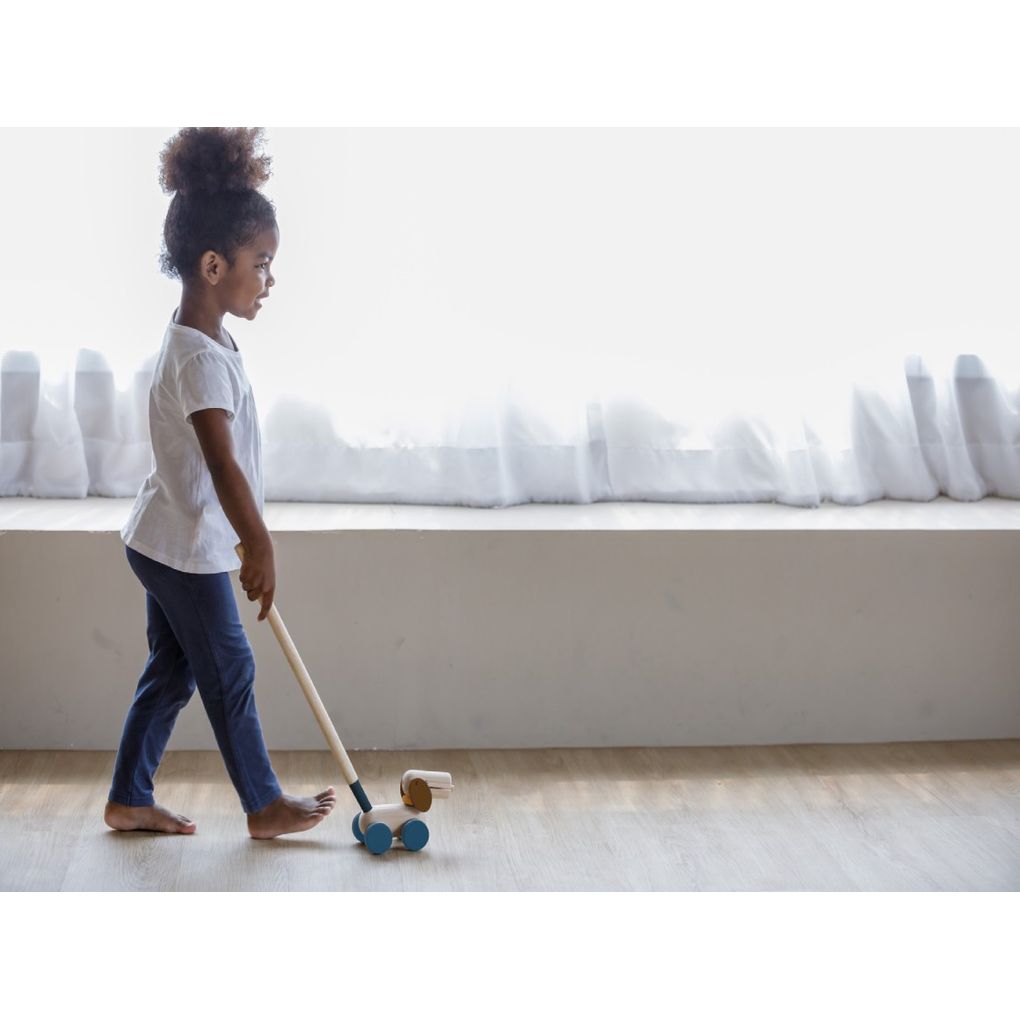 PlanToys Push & Pull Puppy