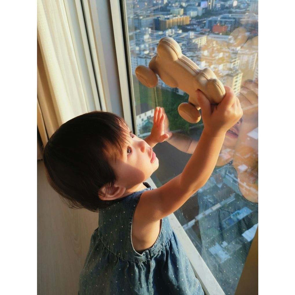 PlanToys Push Along Bunny - White Push & Pull