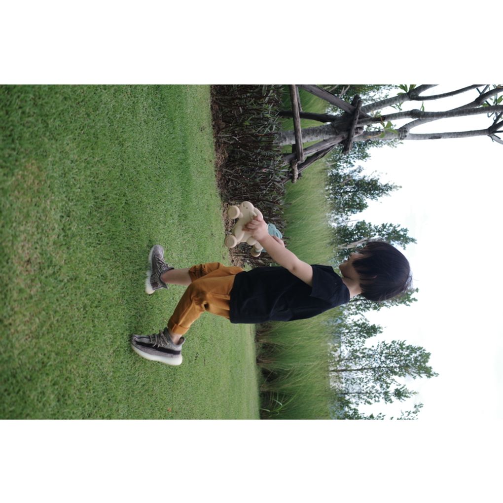 PlanToys Push Along Bunny - White Push & Pull