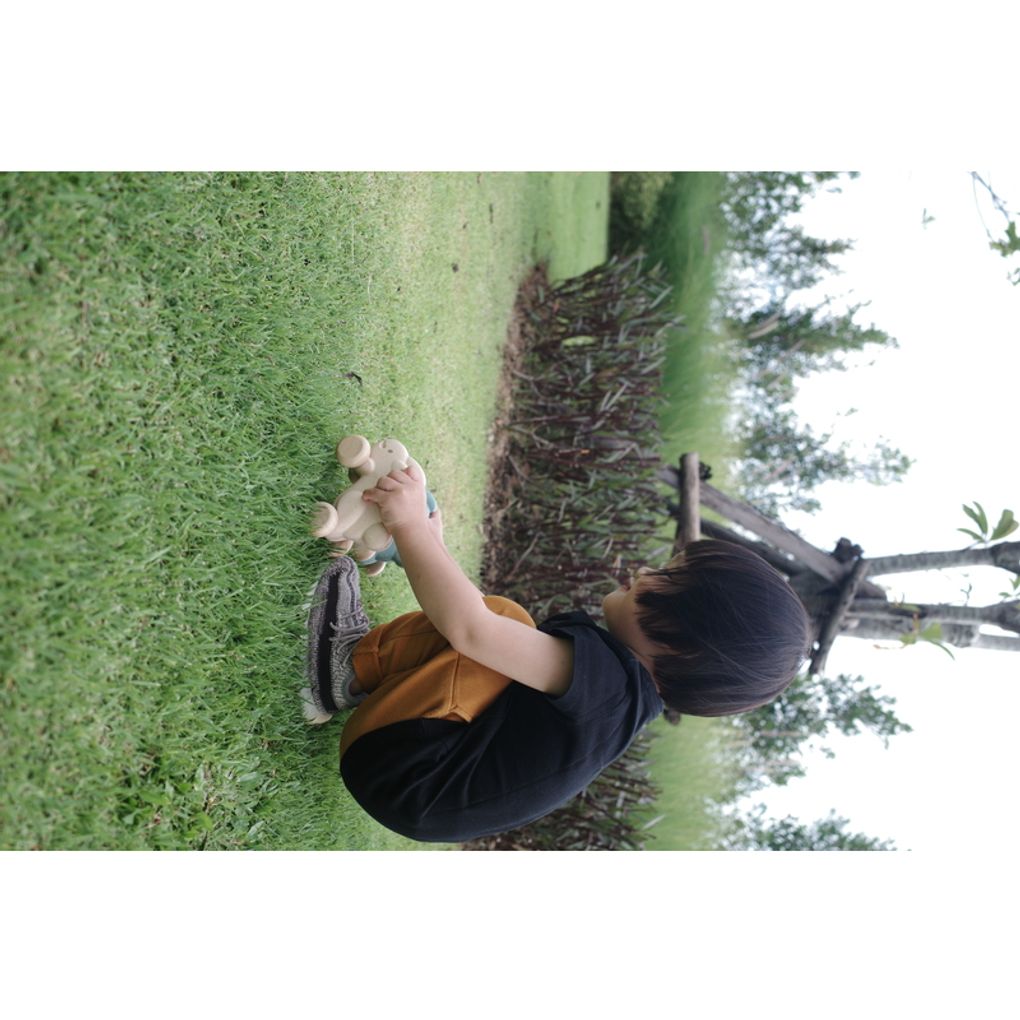 PlanToys Push Along Bunny - White Push & Pull