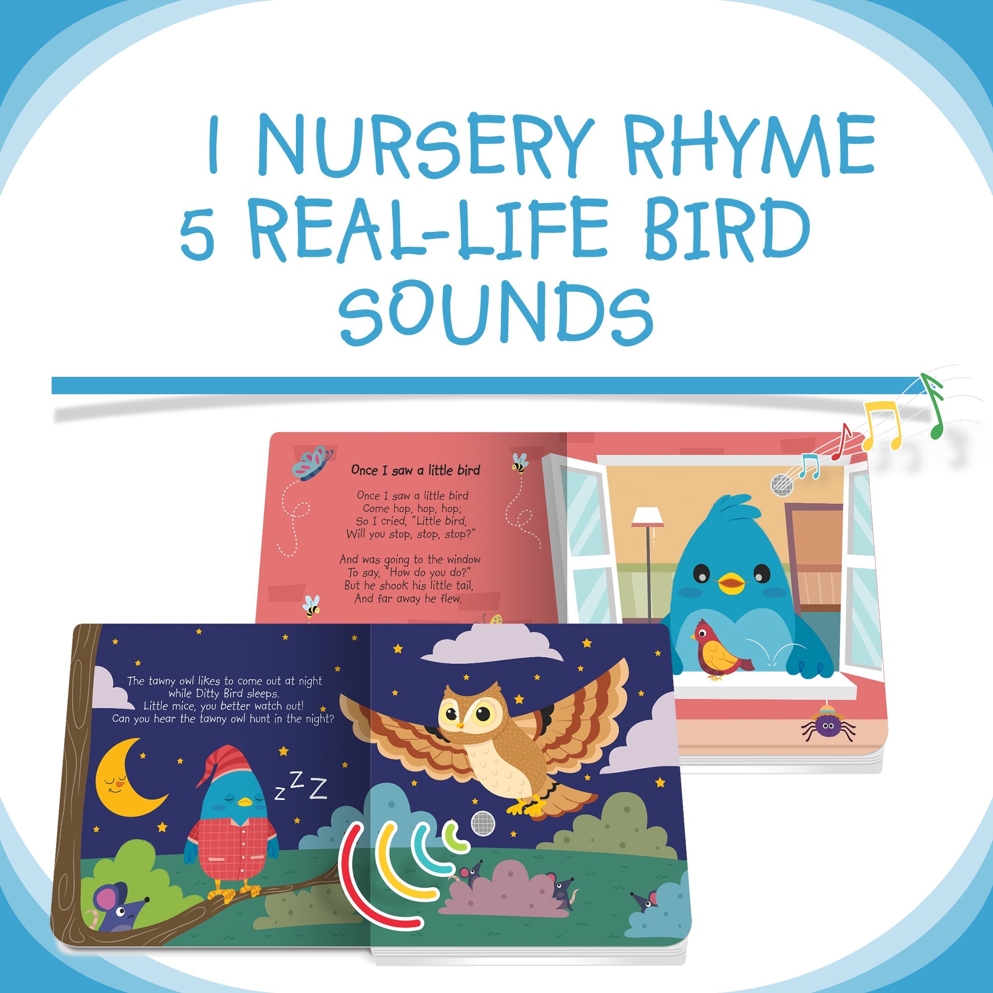 Ditty Bird Bird Songs Music Books