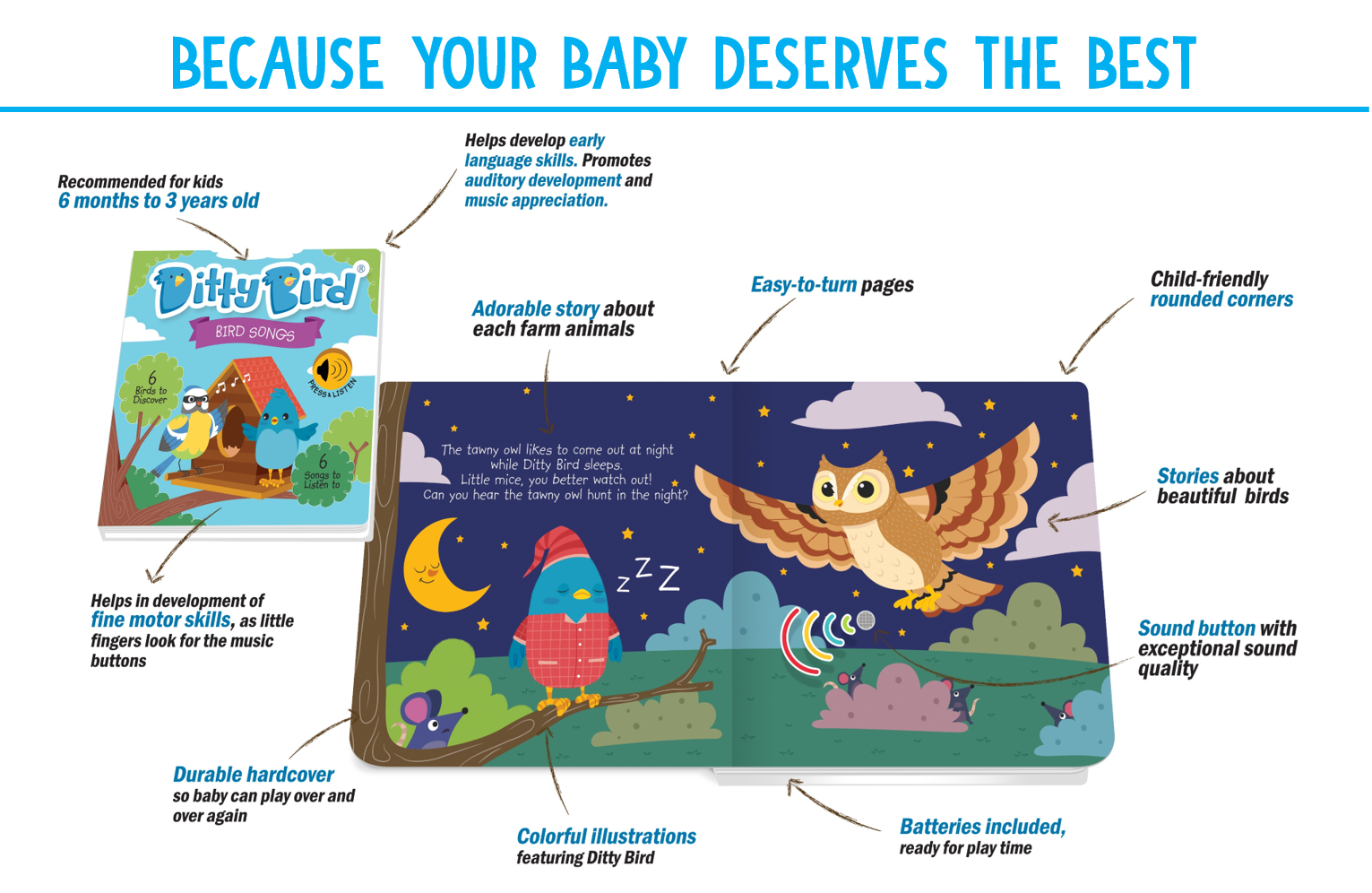 Ditty Bird Bird Songs Music Books