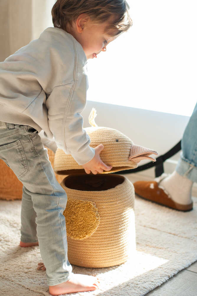 Basket Charlie The Chicken