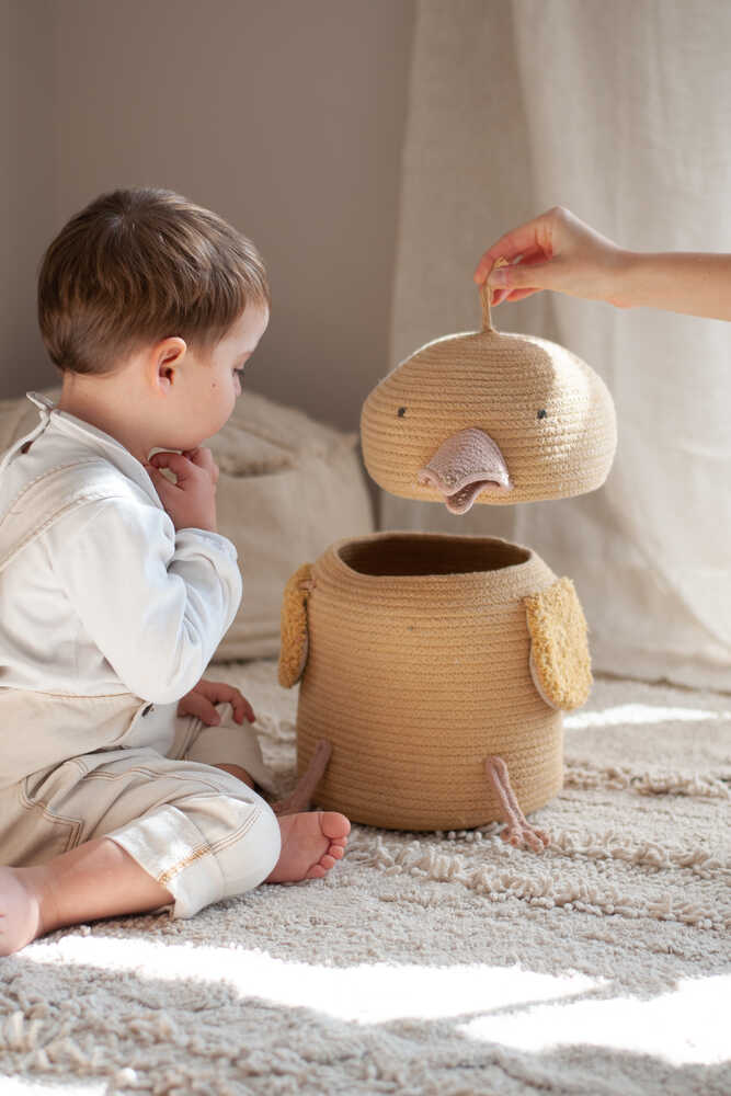 Basket Charlie The Chicken