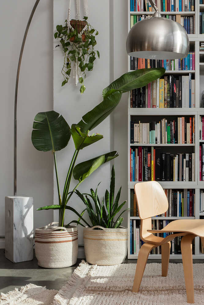 Basket Twin Toffee - Reversible