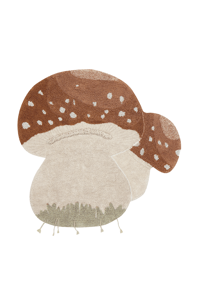 Washable Rug Boletus - Mushroom hunt