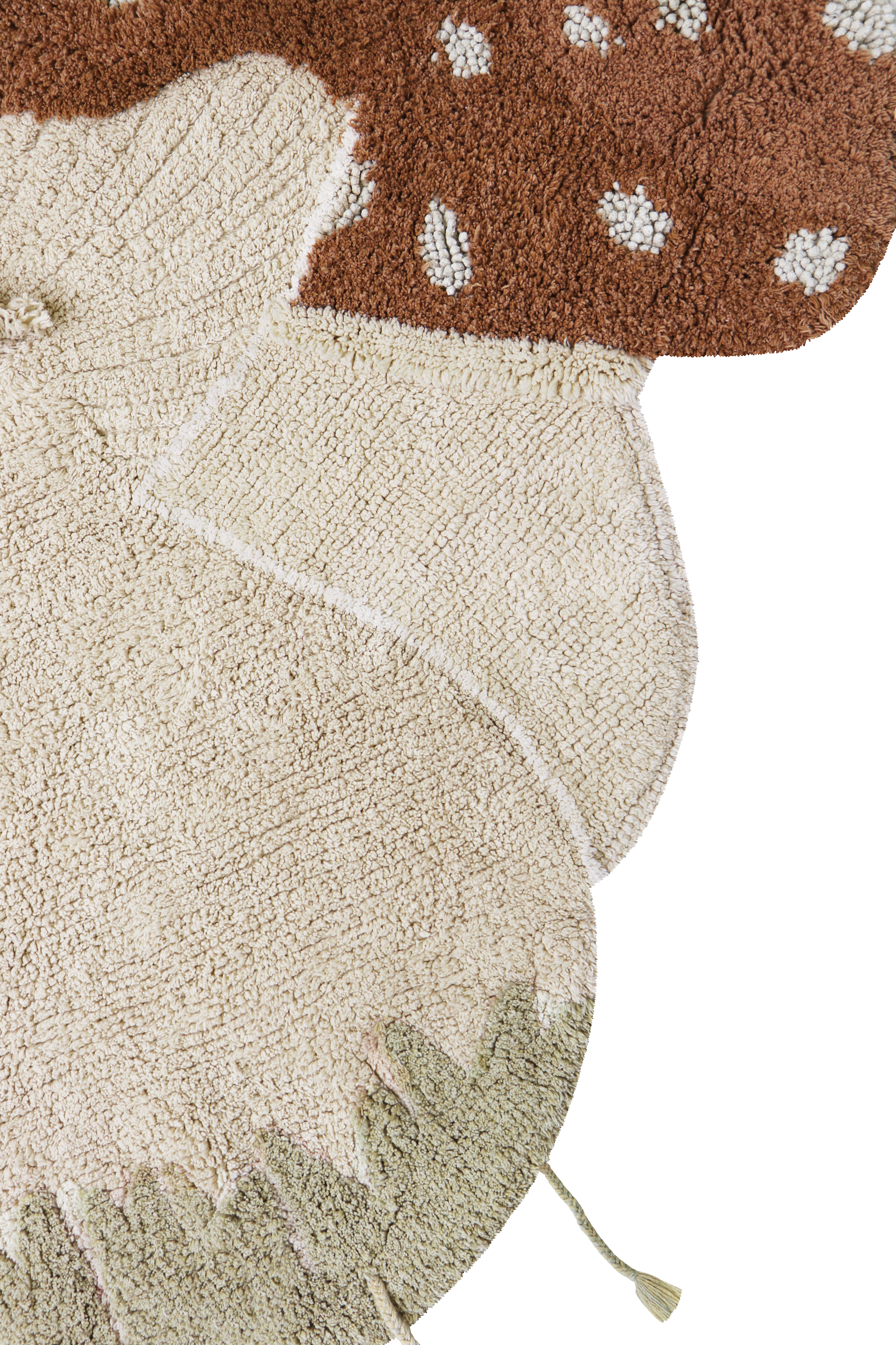 Washable Rug Boletus - Mushroom hunt