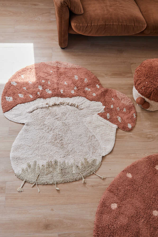 Washable Rug Boletus - Mushroom hunt