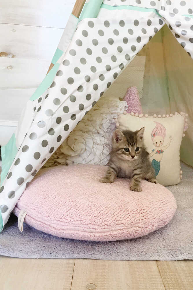 Cushion Big Dot Pink - Polka Dot