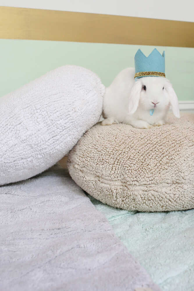 Cushion Big Dot White