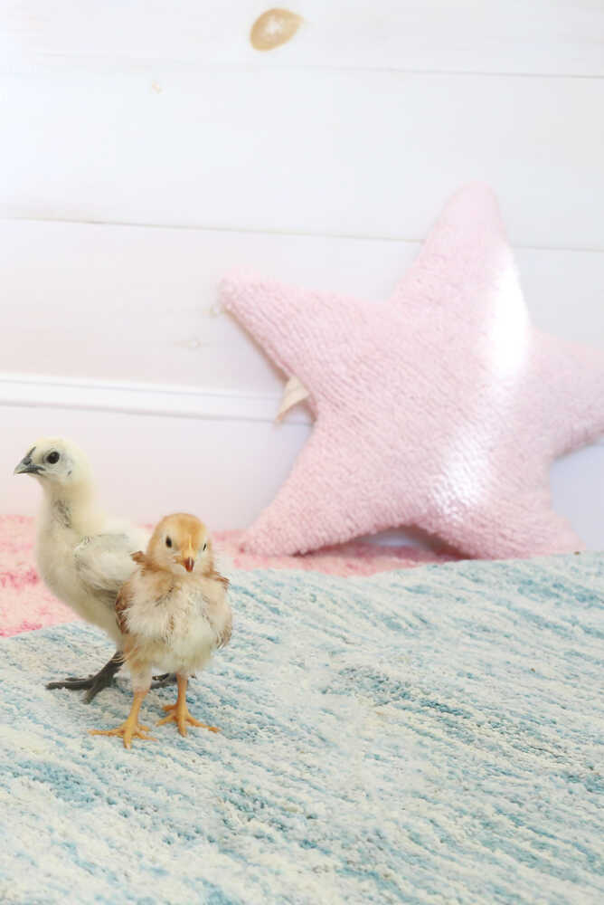 Cushion Star Pink - Stars