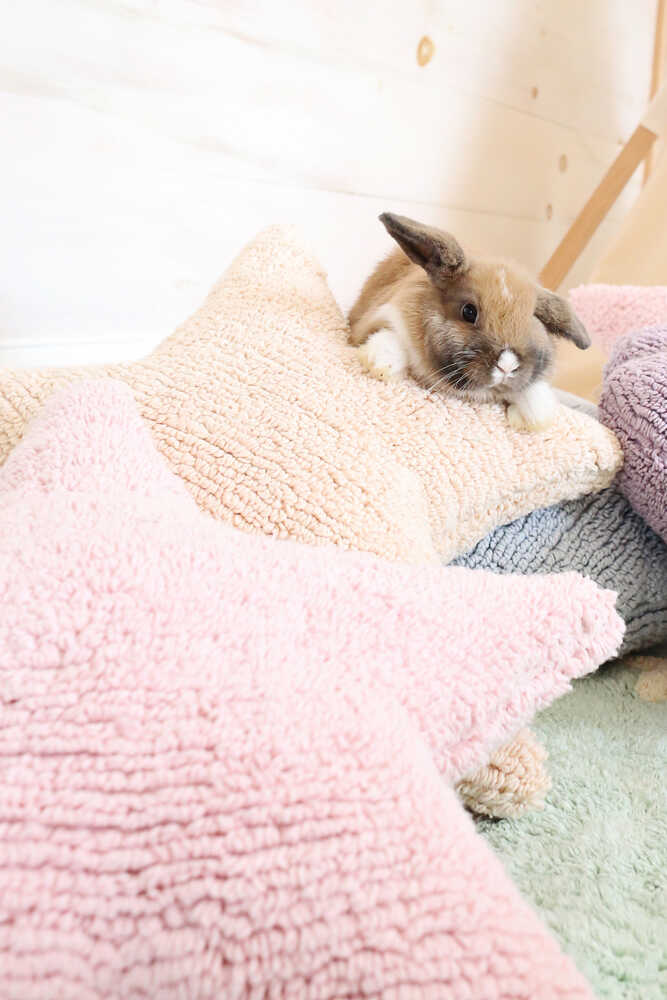 Cushion Star Pink - Stars