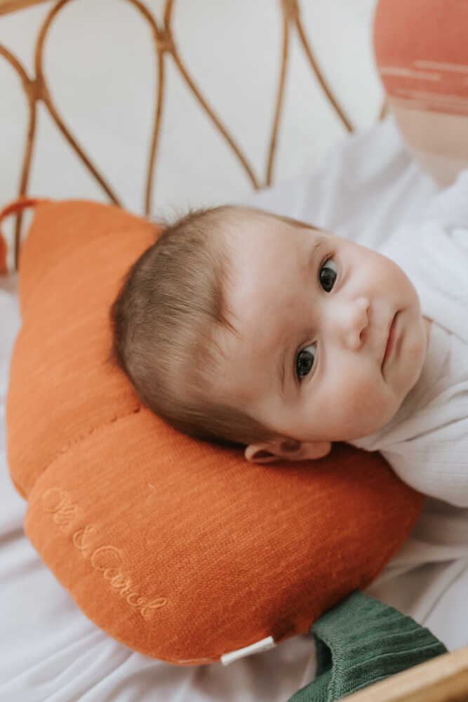 Knitted Cushion Cathy The Carrot - Oli&Carol