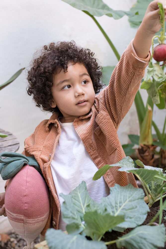 Knitted Cushion Ramona The Radish - Oli&Carol
