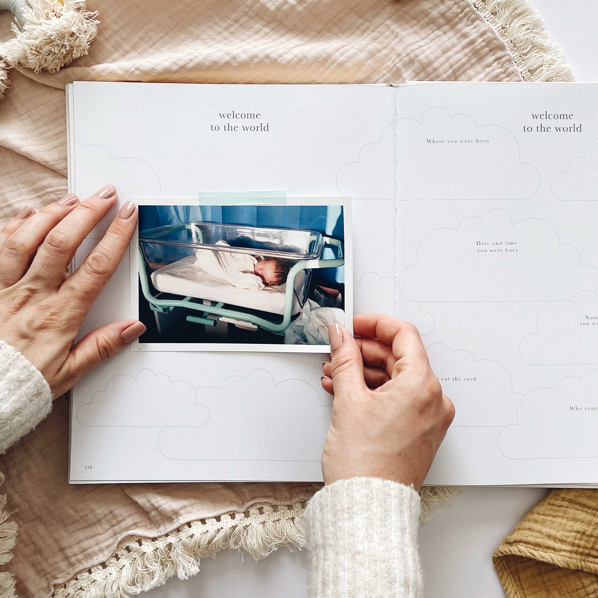 Blush and Gold My Pregnancy Journal - Jungle with Gilded Edges Memory Book