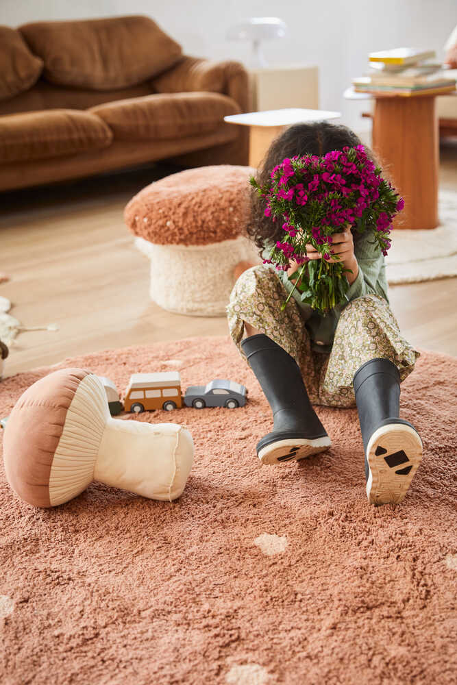 Cushion Boletus - Mushroom hunters / Forest finds