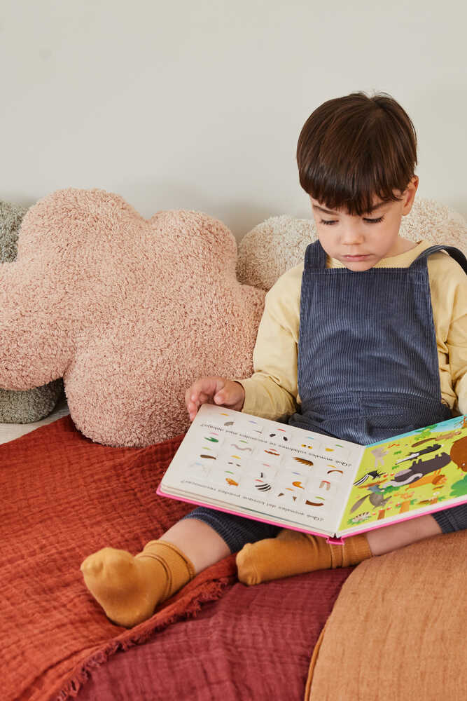 Cushion Cloud Rose - Mushroom hunters / Forest finds