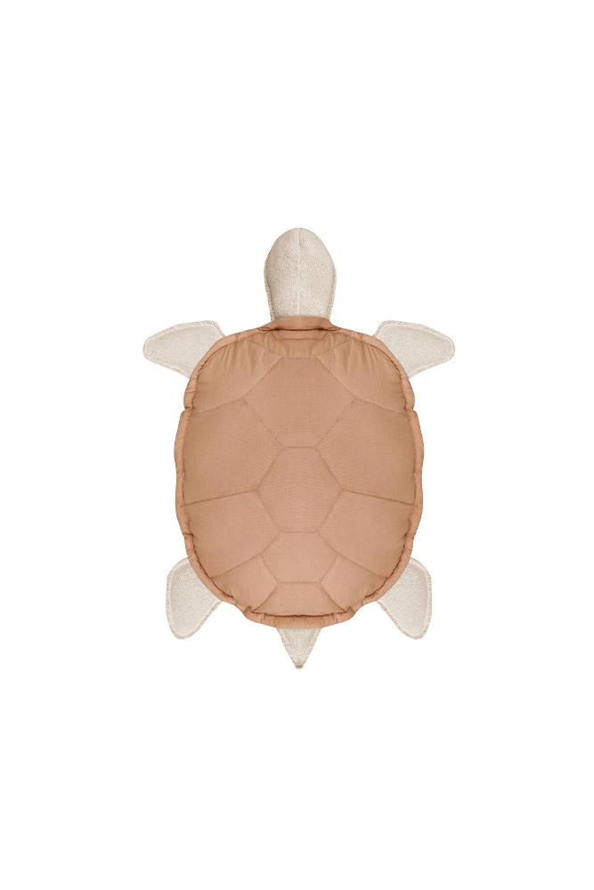 Cushion Turtle - Sea Turtle