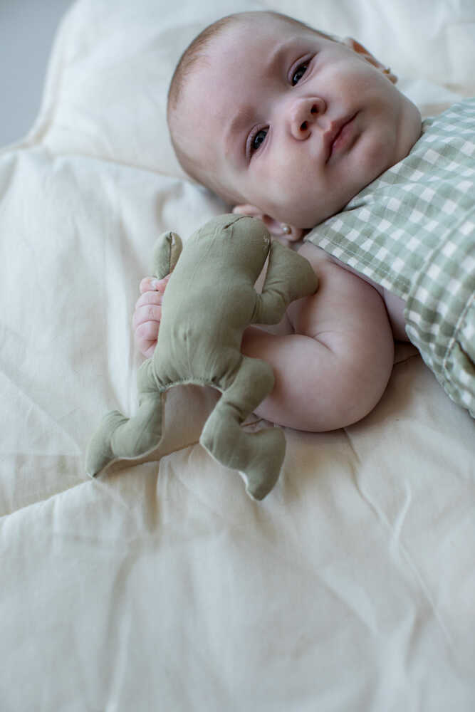 Set Of 3 Crinkle And Rattle Baby Toys Lily Pond