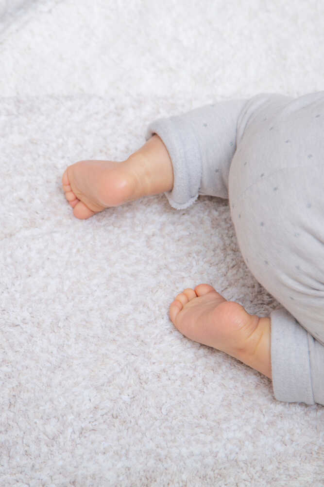 Washable Rug Cotton Shades - Tribute to Cotton