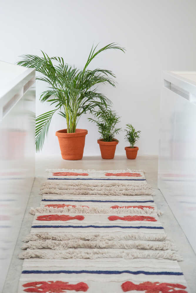 Washable Rug Mini Lobster - Lobster