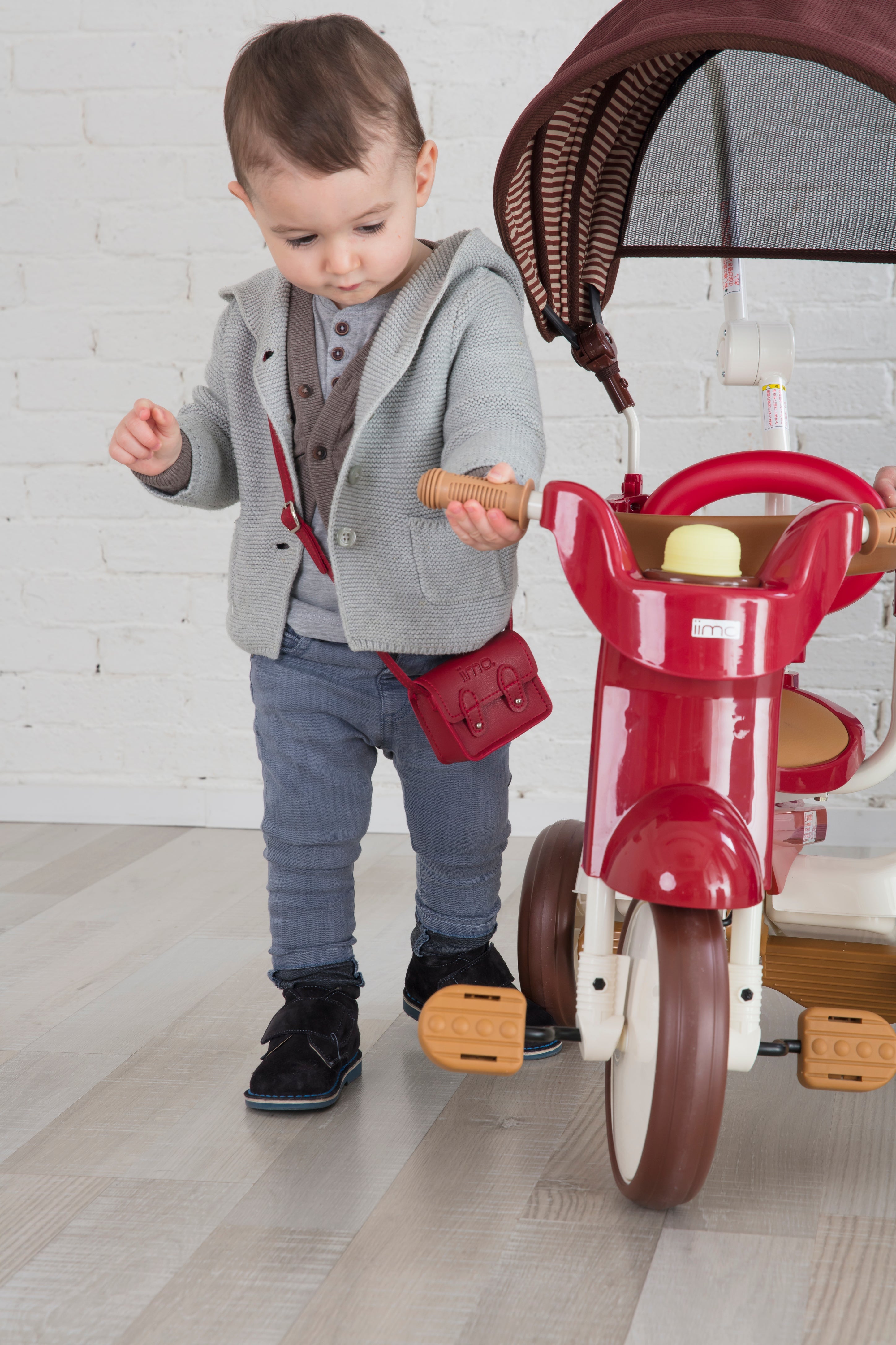 Tricycle With Canopy - 3-in-1 Foldable