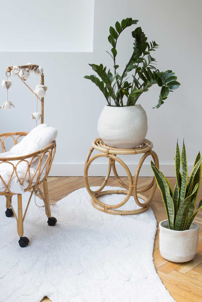 Basket Bola Ivory - Tribute to Cotton