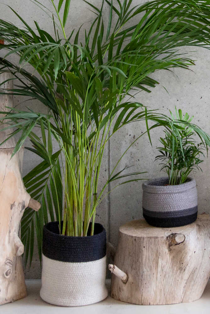 Basket Dual Black - Natural - My Little Ones