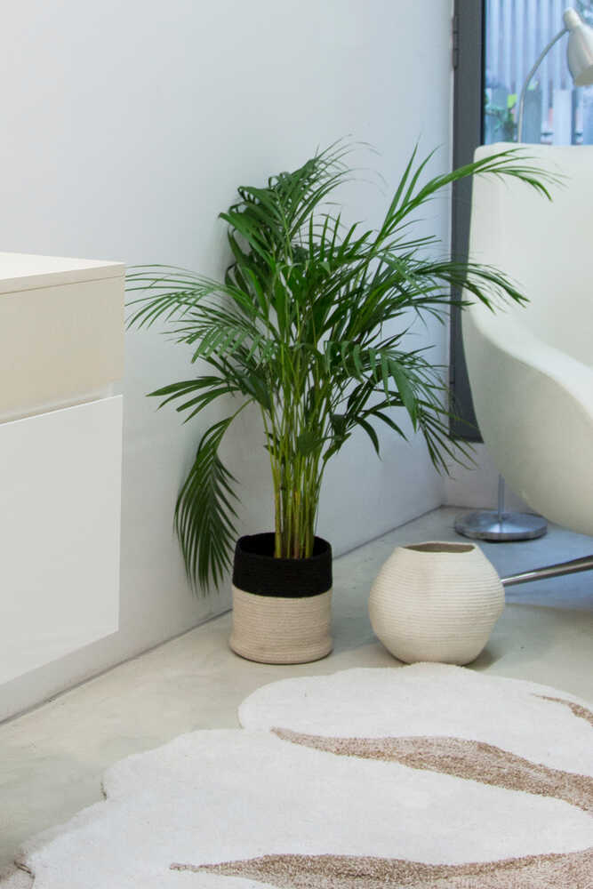 Basket Dual Black - Natural - My Little Ones