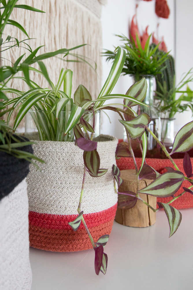 Basket Mini Tricolor Natural - My Little Ones