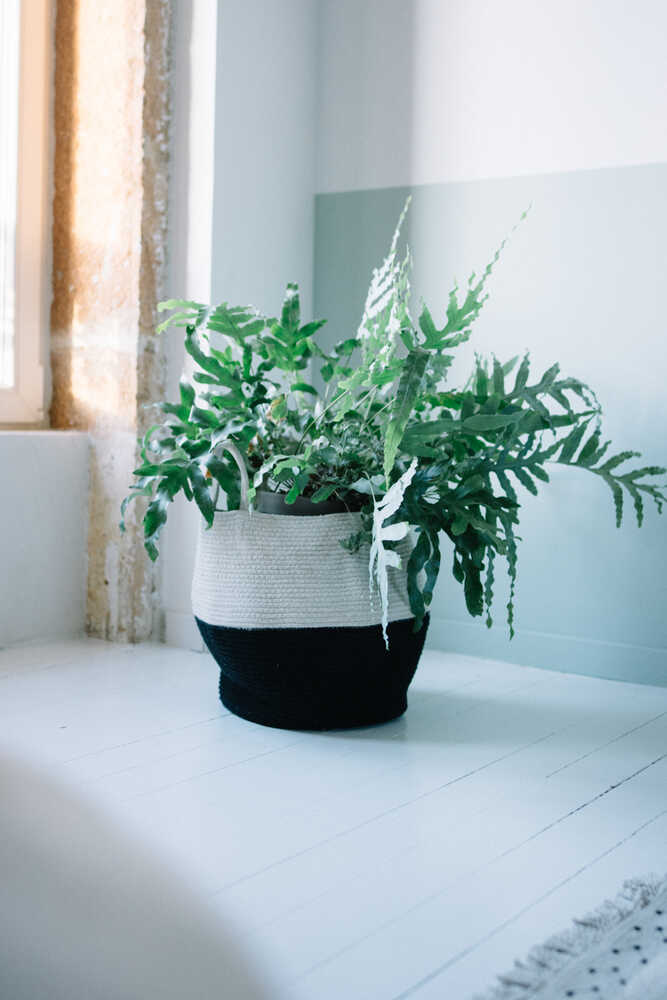 Basket Zoco Black - Natural - Morocco