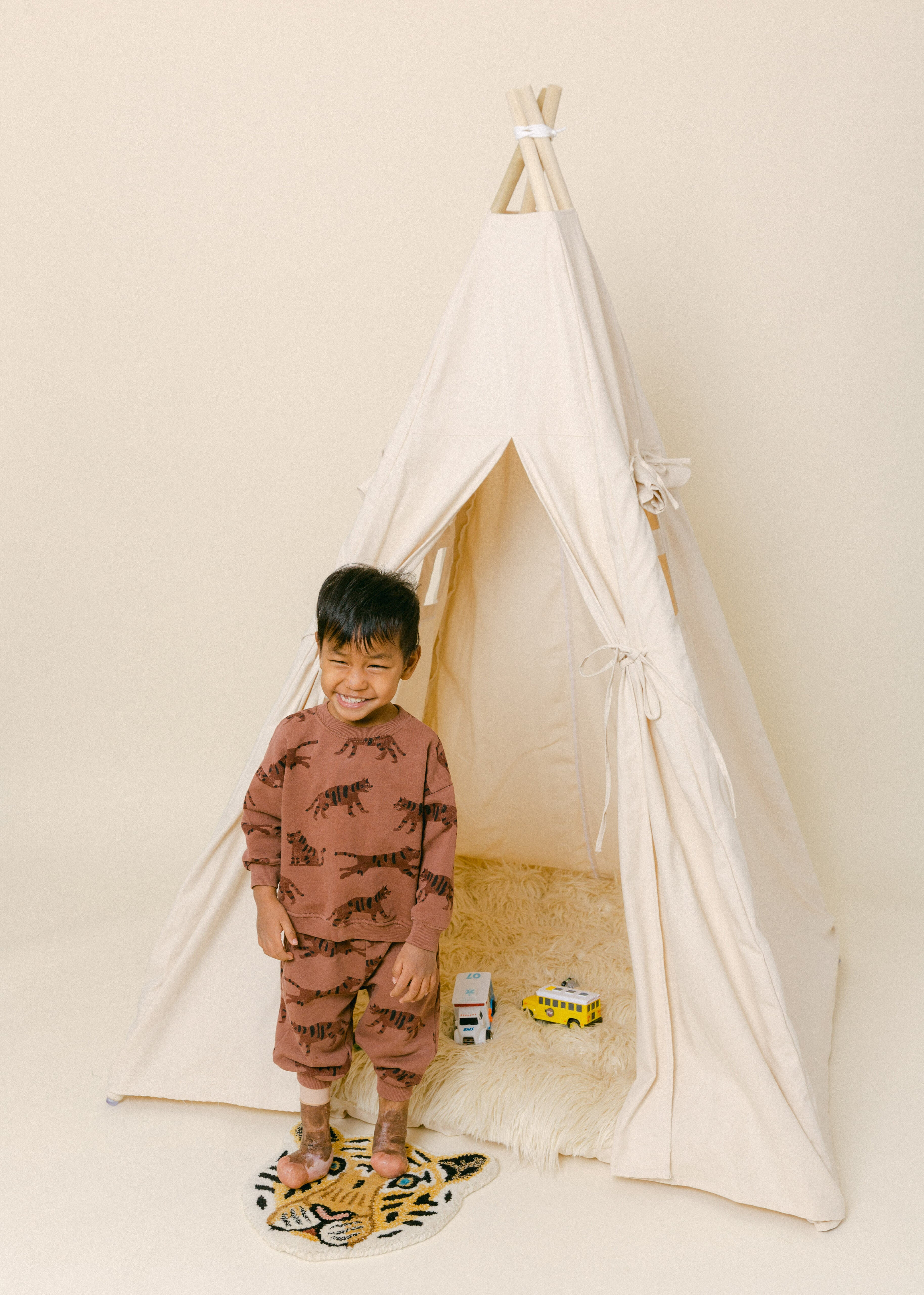 The Andrew Play Tent