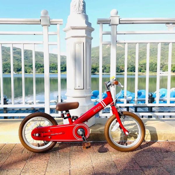 Balance Bike To Pedal Bike 14"