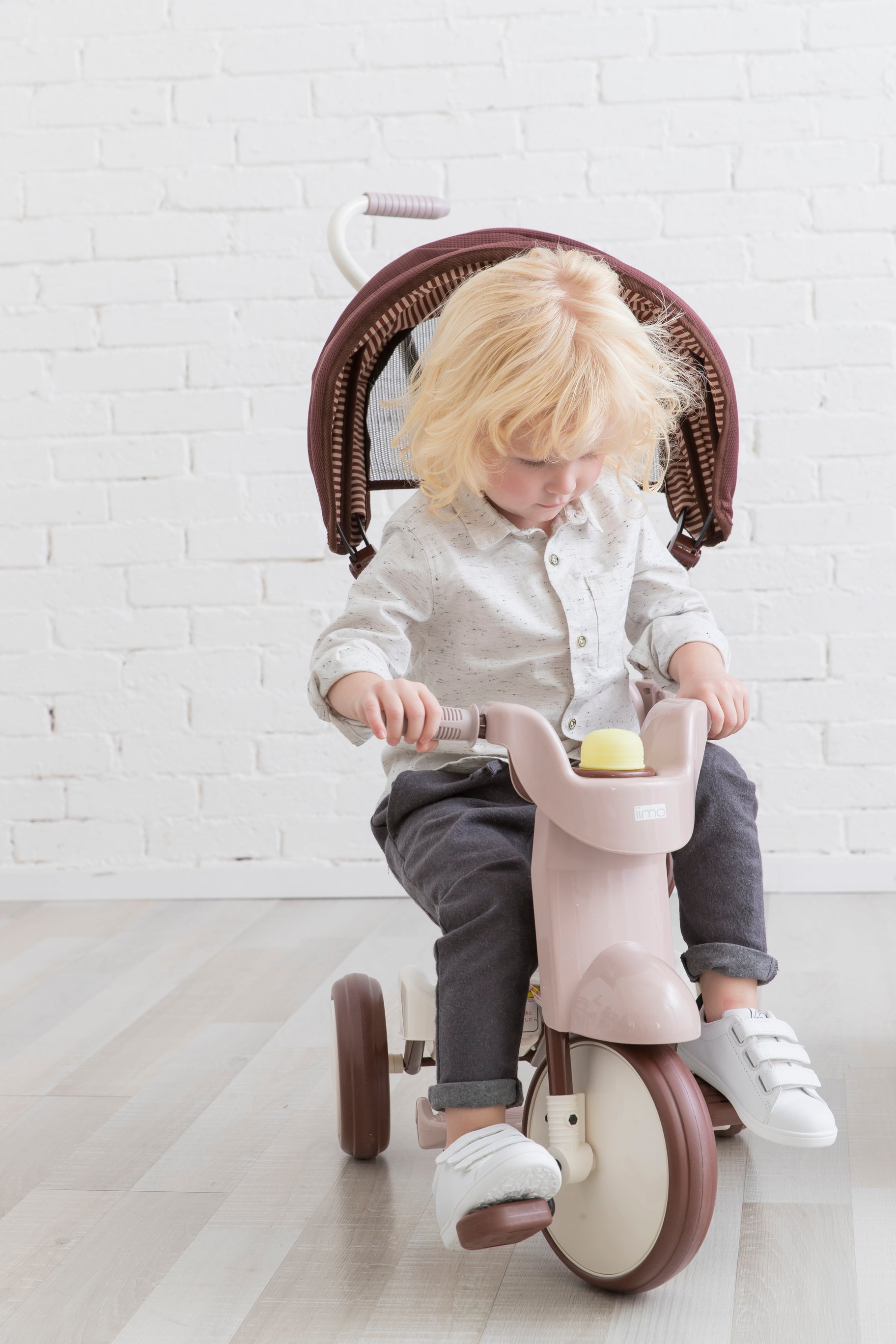 Tricycle With Canopy - 3-in-1 Foldable