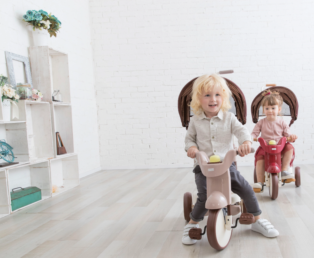 Tricycle With Canopy - 3-in-1 Foldable