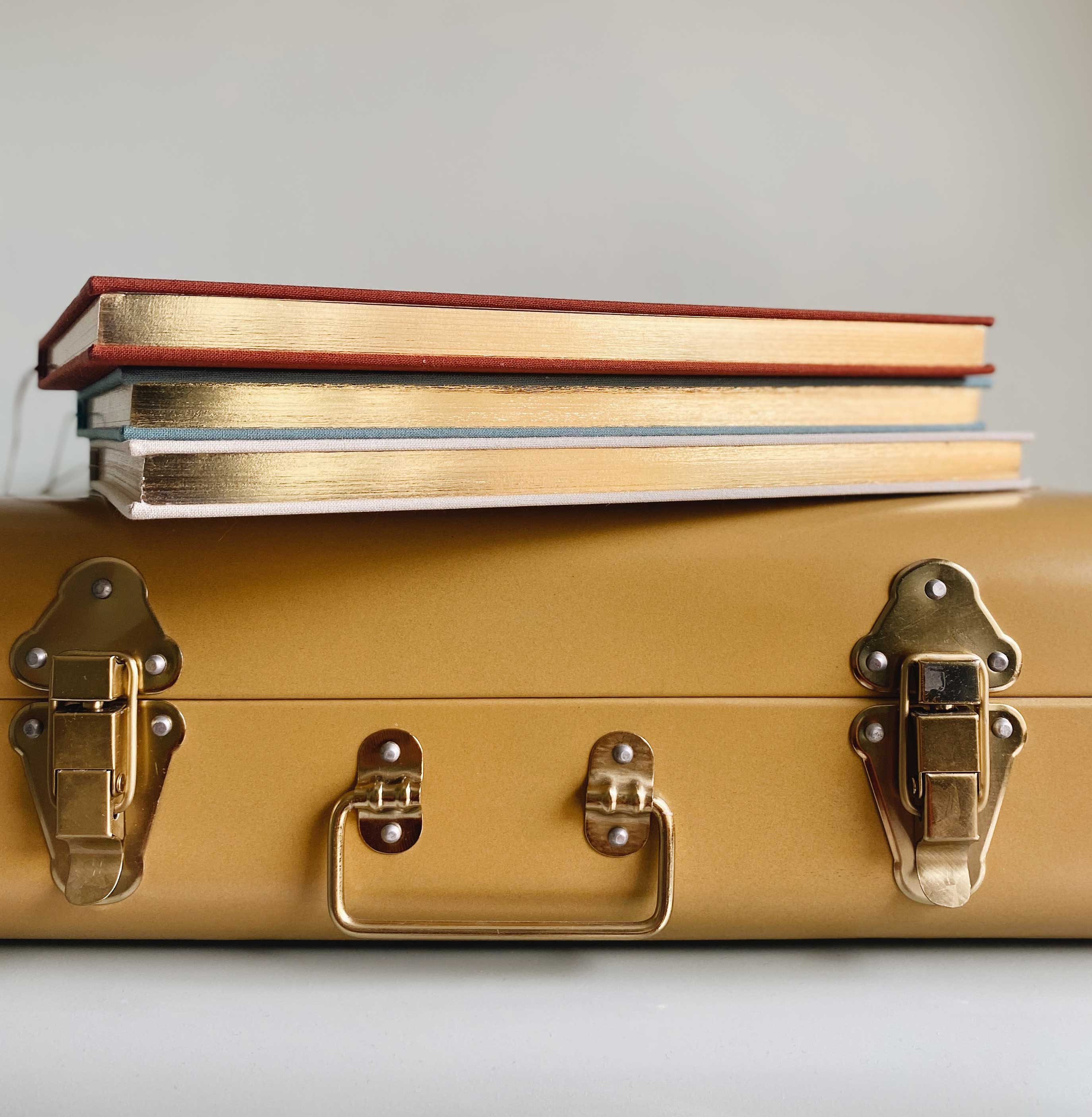 Blush and Gold My Pregnancy Journal - Pearl with Gilded Edges Memory Book