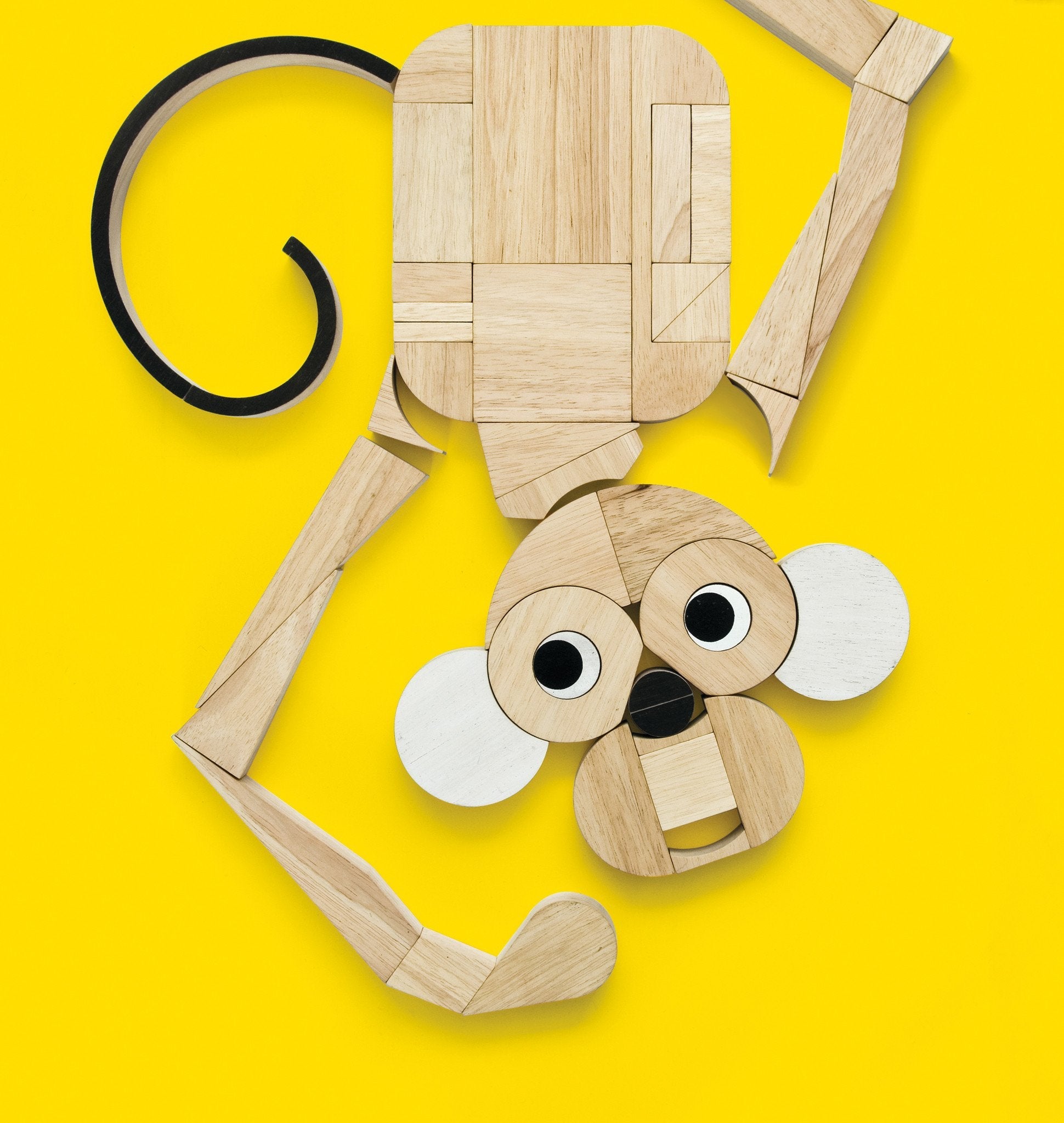 Miller Goodman PlayShapes Building Blocks