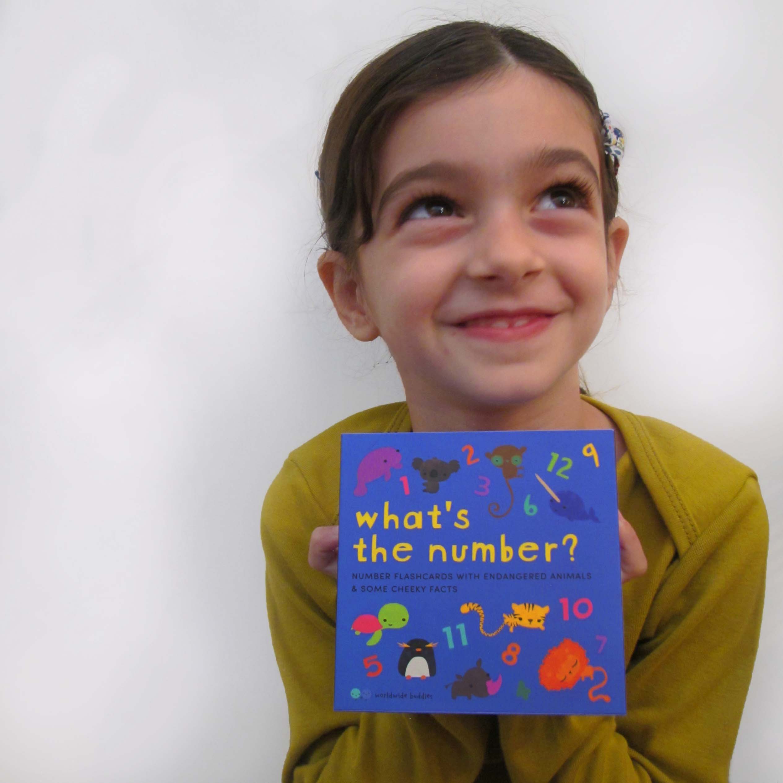 Worldwide Buddies What's the Number? Number Flashcards Flashcards