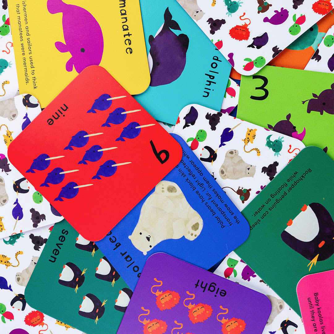 Worldwide Buddies What's the Number? Number Flashcards Flashcards