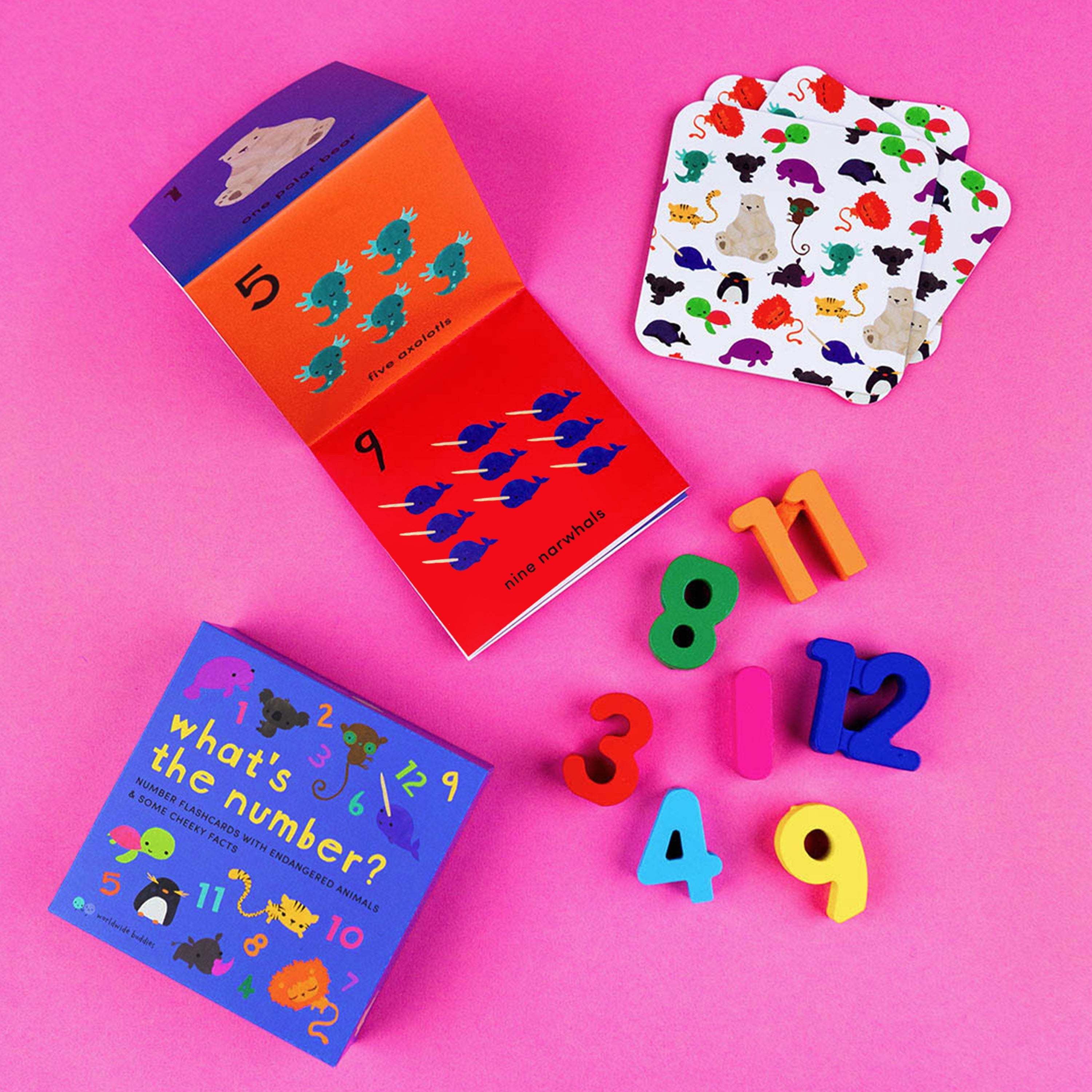 Worldwide Buddies What's the Number? Number Flashcards Flashcards