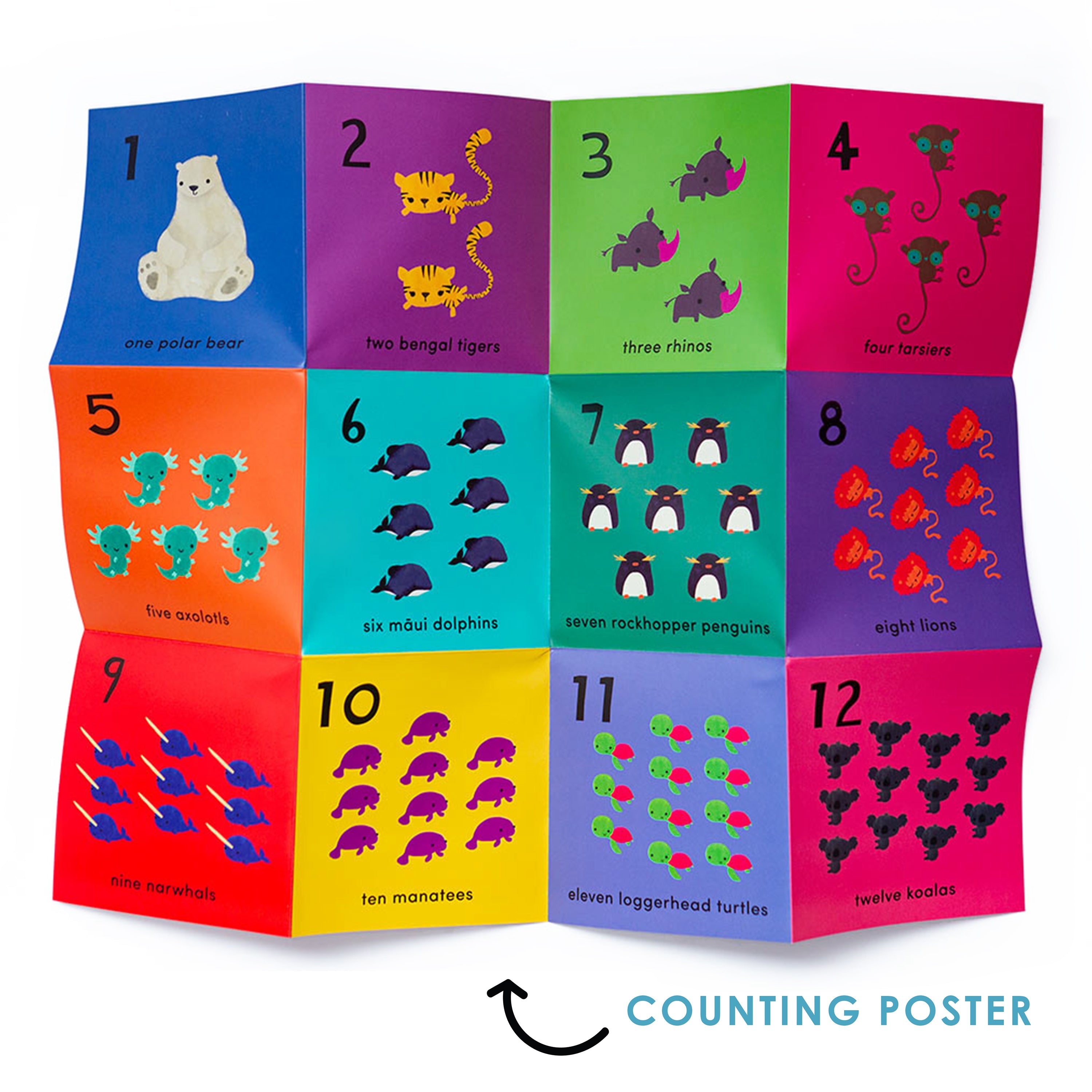 Worldwide Buddies What's the Number? Number Flashcards Flashcards