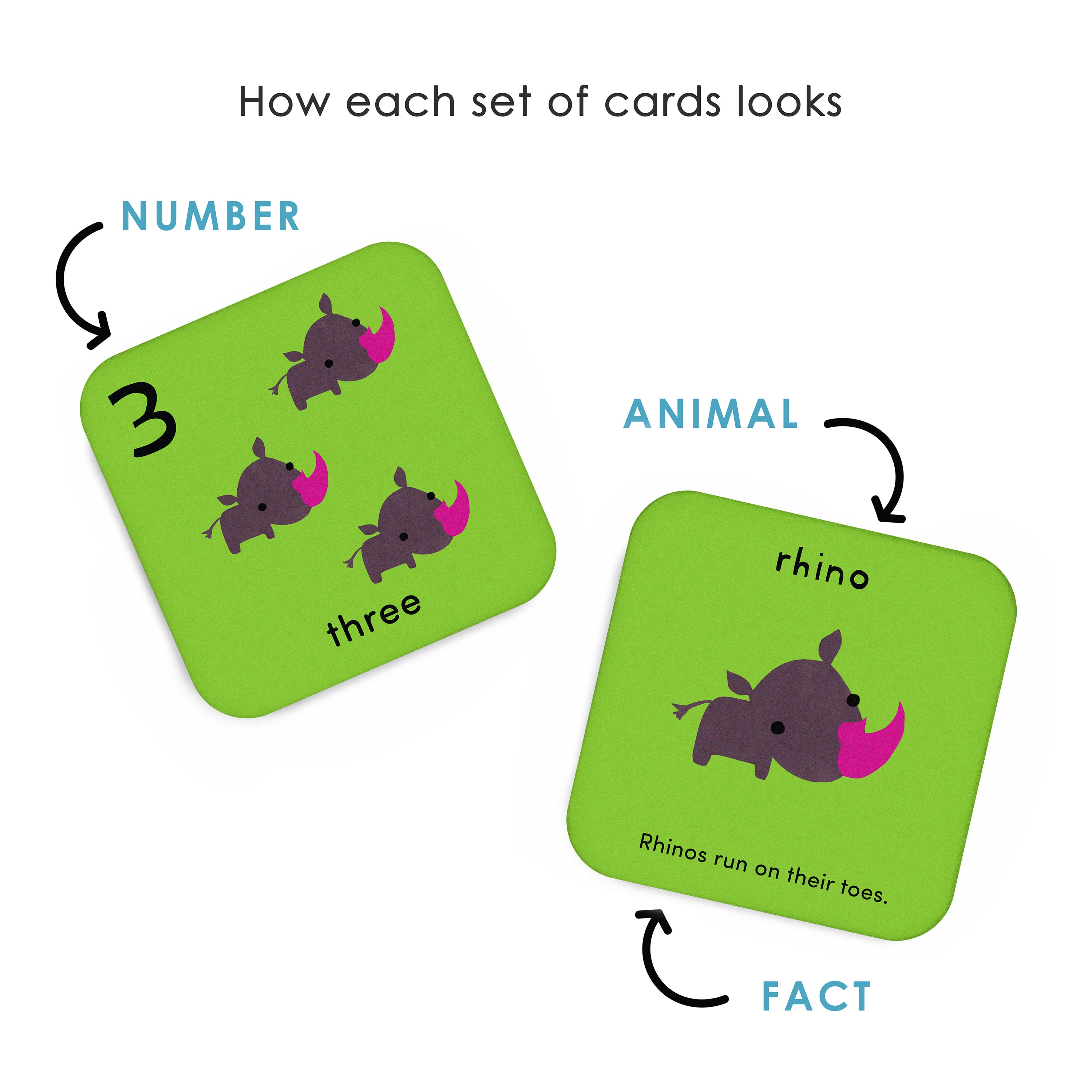 Worldwide Buddies What's the Number? Number Flashcards Flashcards