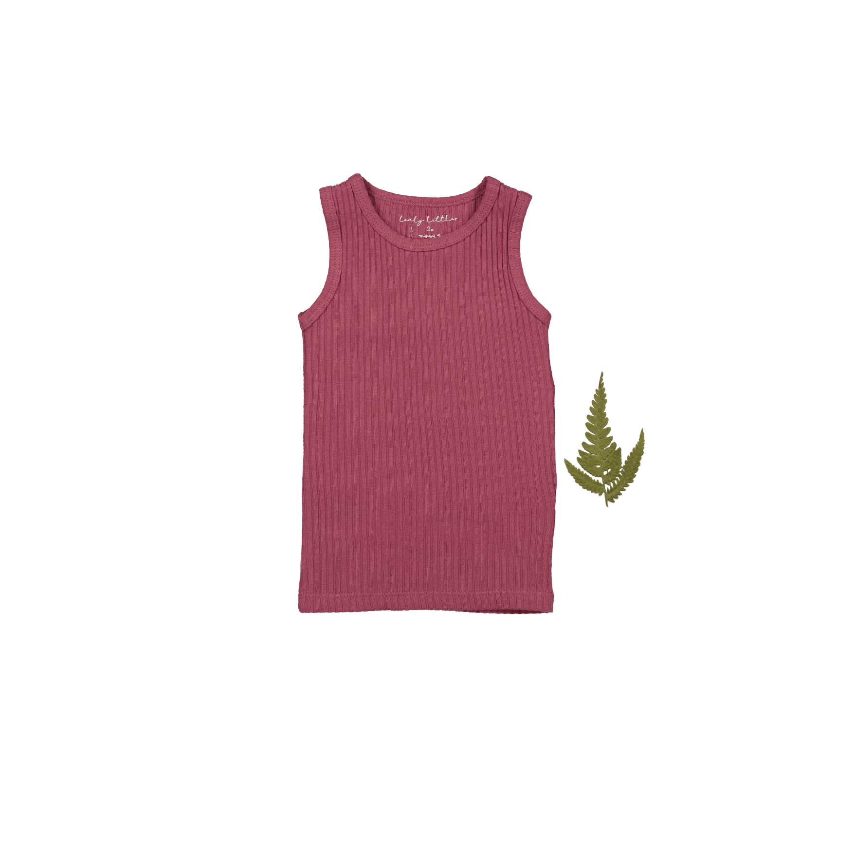 The Tank - Raspberry