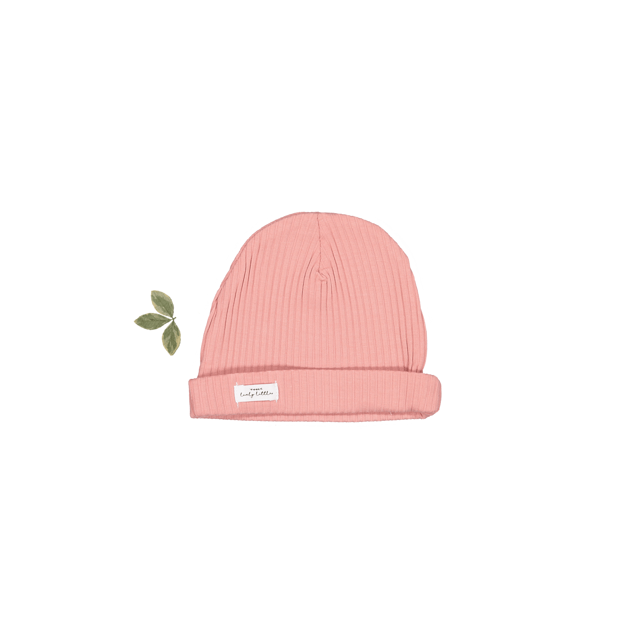 The Hat - Rose
