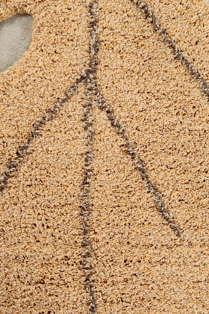 Washable Rug Monstera Honey - Re Edition + Plants