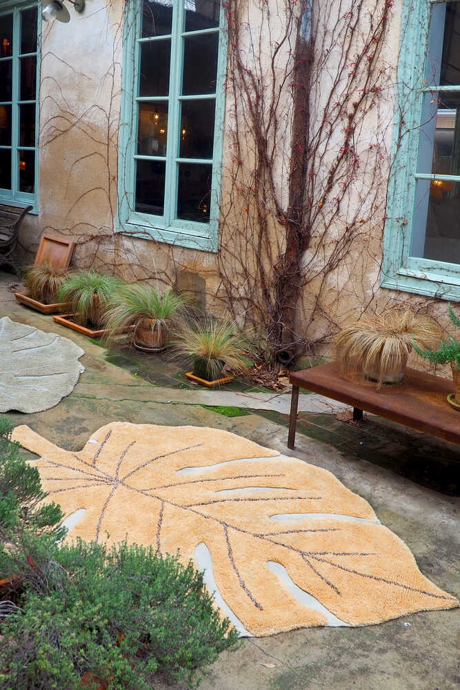 Washable Rug Monstera Honey - Re Edition + Plants