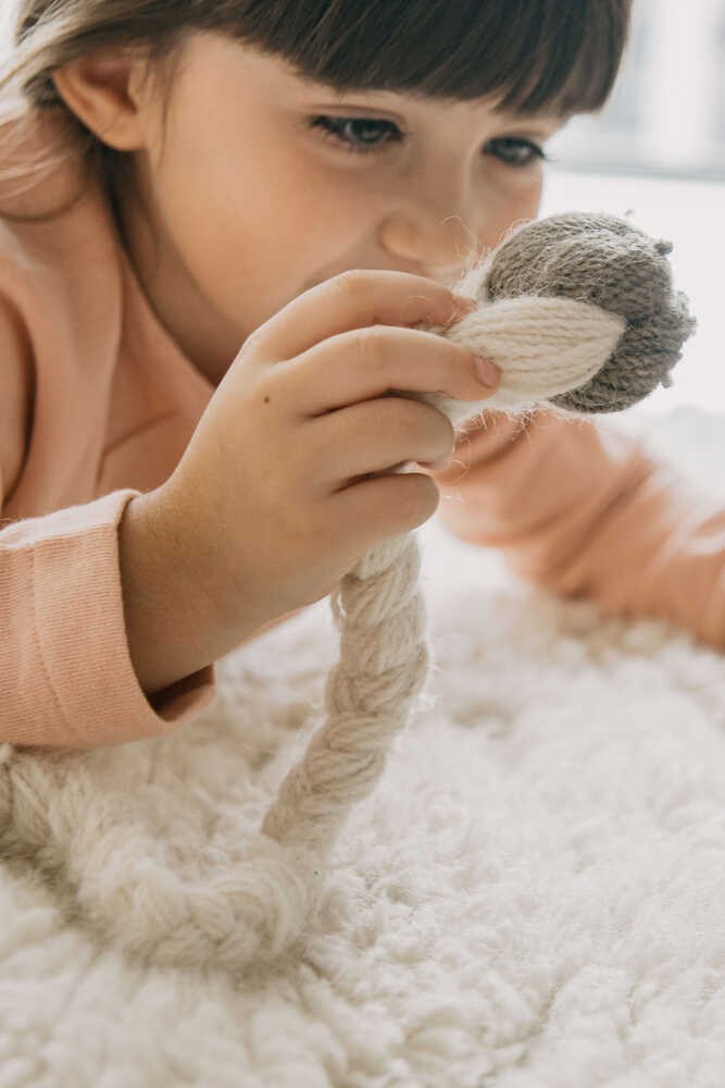 Woolable Rug Pink Nose Sheep